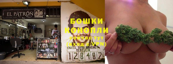 индика Сафоново