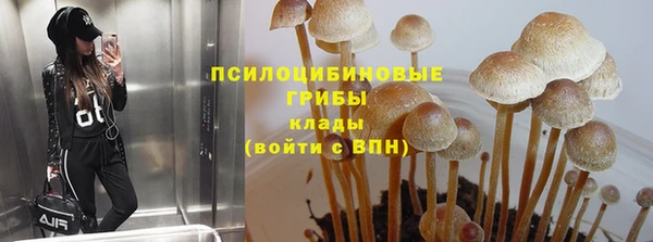индика Сафоново