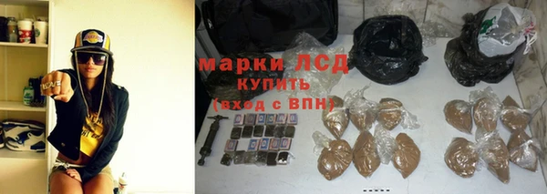 индика Сафоново