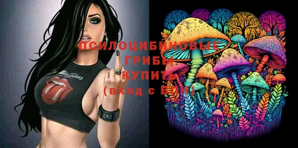 индика Сафоново