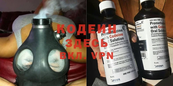 индика Сафоново