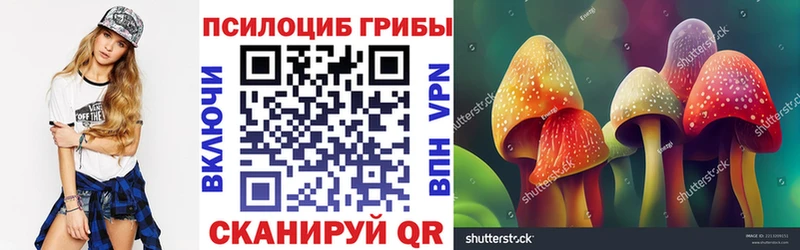 дарнет шоп  Верхоянск  Галлюциногенные грибы Psilocybine cubensis 